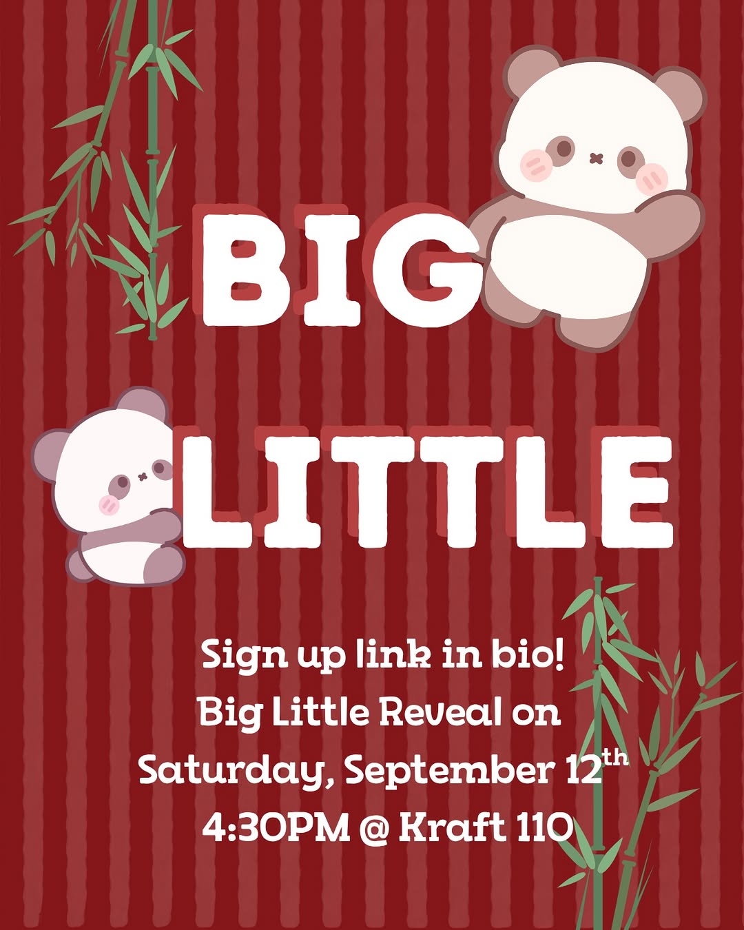 Big Little Reveal