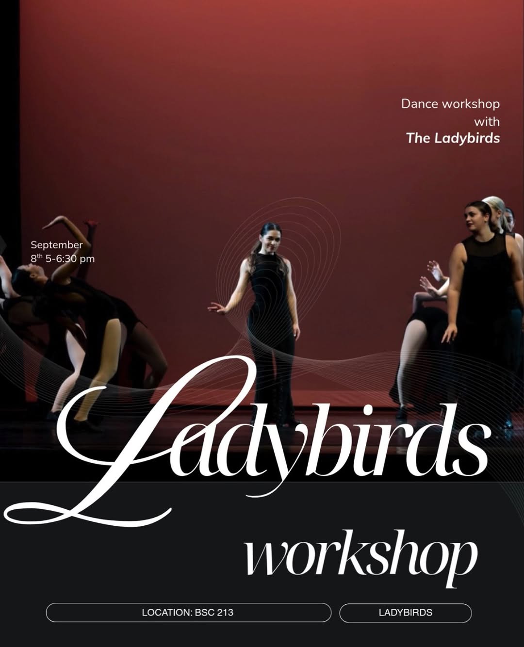 Ladybirds auditions