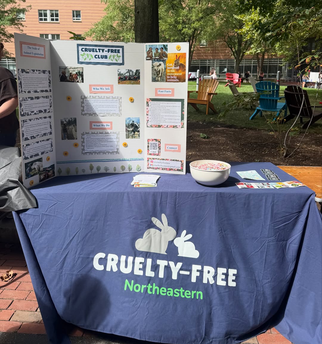 Cruelty-Free Club